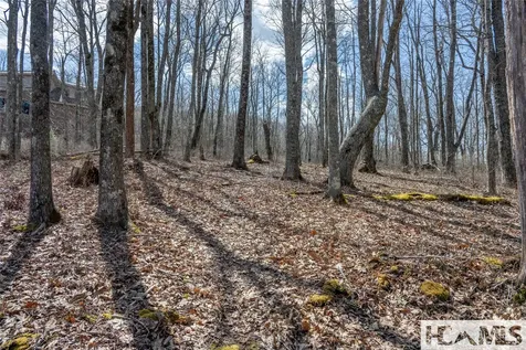 Lot 63 New Settler's Way Glenville NC 28736