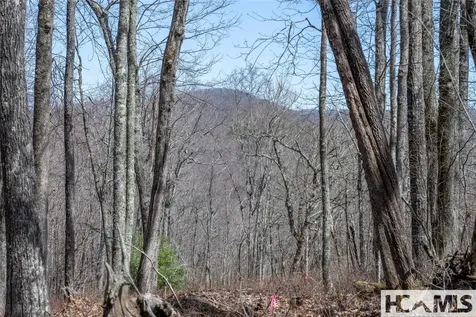 Lot 63 New Settler's Way Glenville NC 28736