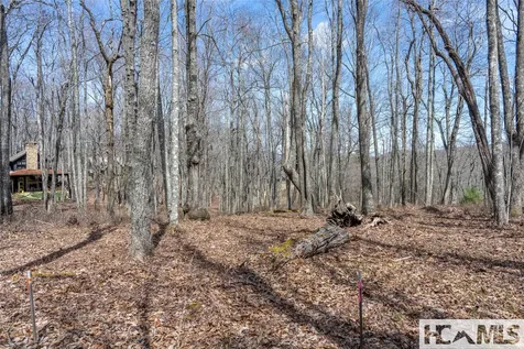 Lot 63 New Settler's Way Glenville NC 28736
