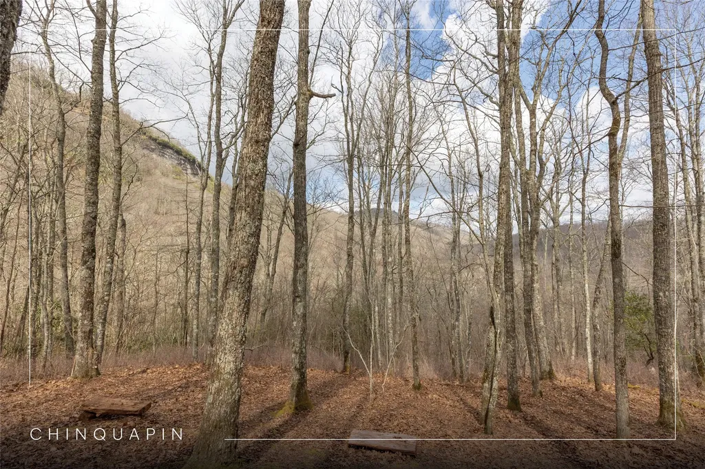 Lot 9 Trailhead Way Glenville NC 28736