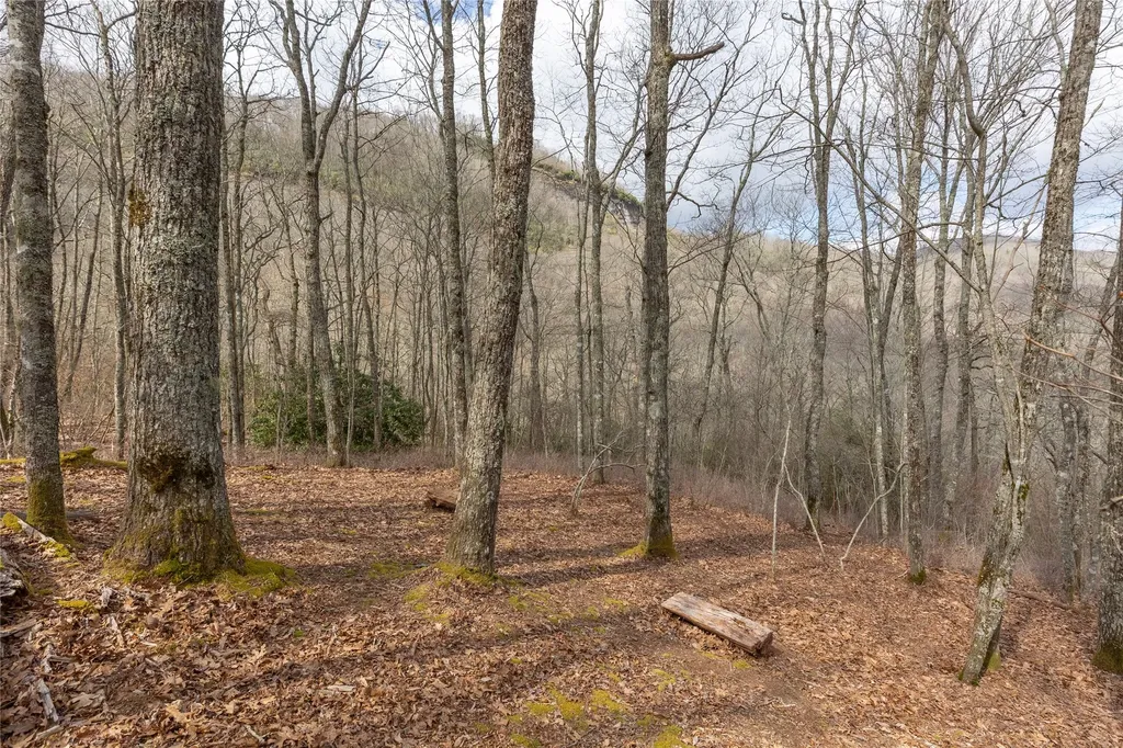 Lot 9 Trailhead Way Glenville NC 28736