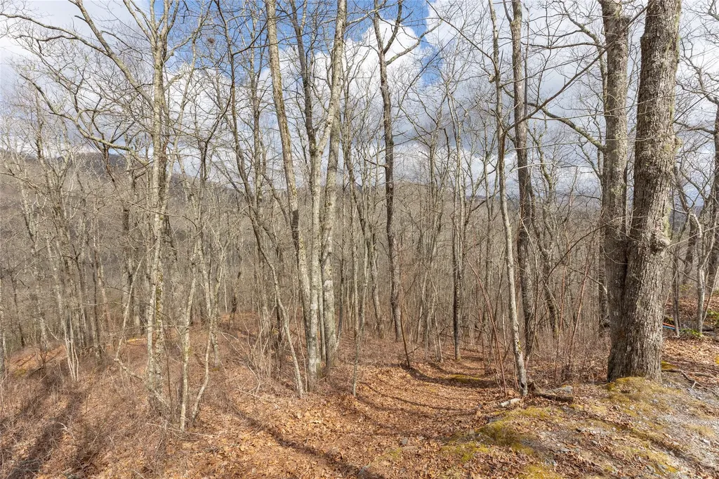 Lot 9 Trailhead Way Glenville NC 28736