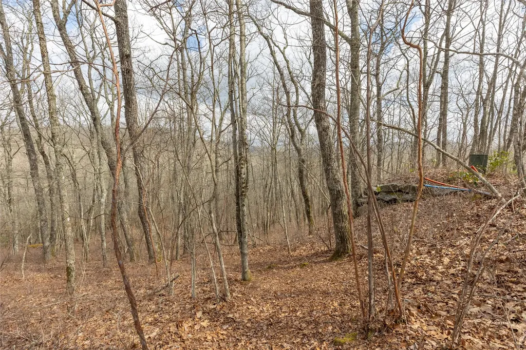 Lot 9 Trailhead Way Glenville NC 28736