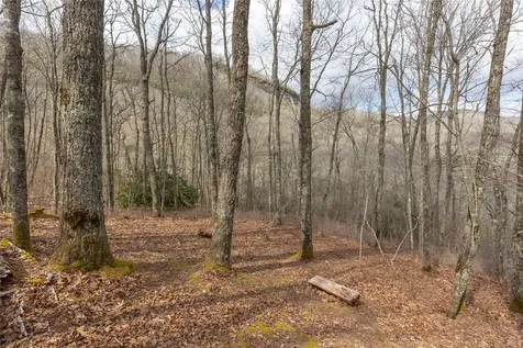 Lot 9 Trailhead Way Glenville NC 28736