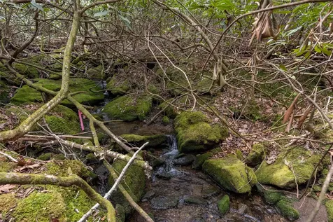 Lot 9 Trailhead Way Glenville NC 28736
