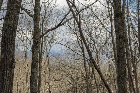 Lot 9 Trailhead Way Glenville NC 28736