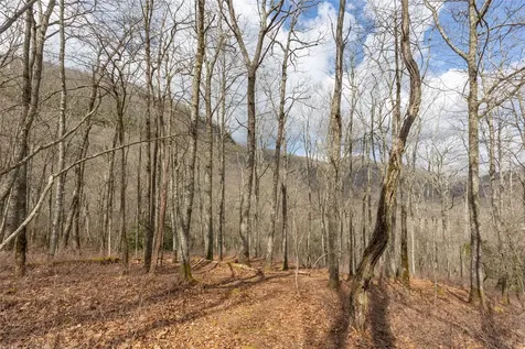 Lot 9 Trailhead Way Glenville NC 28736