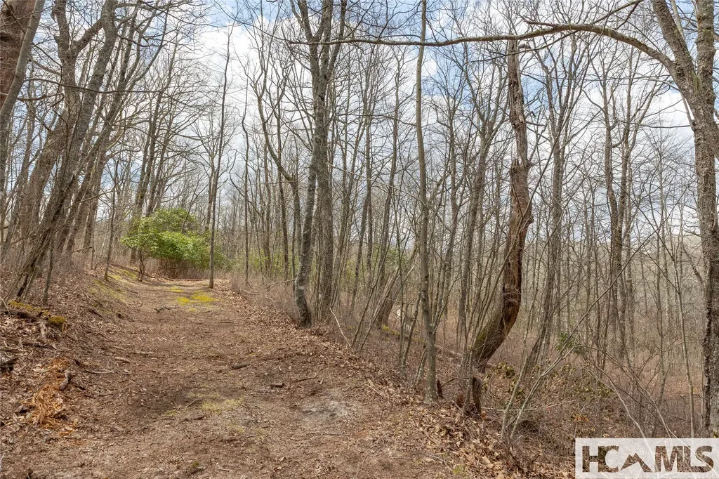Lot 16 Glenridge Road Glenville NC 28736