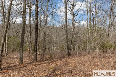Lot 16 Glenridge Road Glenville NC 28736