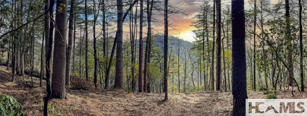 Lot 9 Saratay Falls Drive Cashiers NC 28717