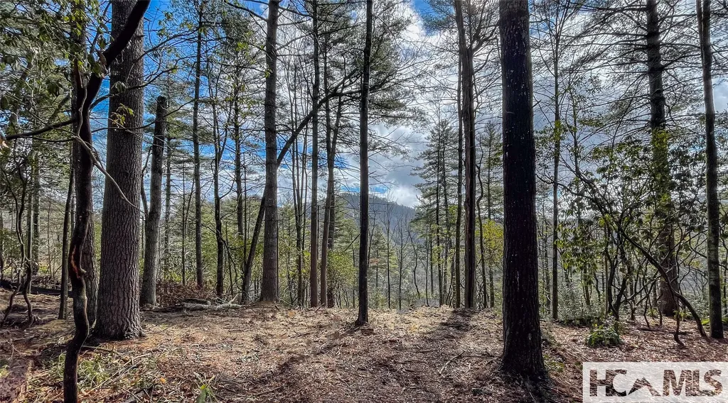 Lot 9 Saratay Falls Drive Cashiers NC 28717