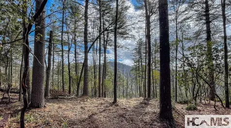 Lot 9 Saratay Falls Drive Cashiers NC 28717