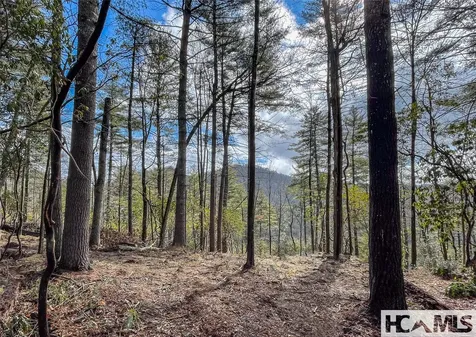 Lot 9 Saratay Falls Drive Cashiers NC 28717