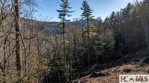 Lot 9 Saratay Falls Drive Cashiers NC 28717