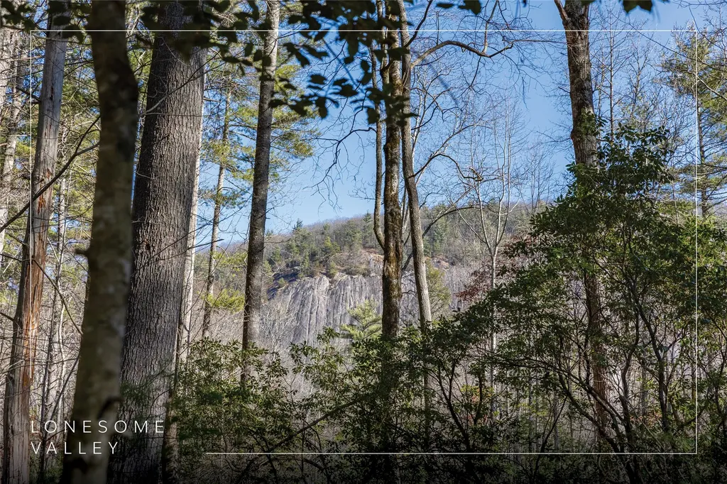 172 Lonesome Valley Road Sapphire NC 28774