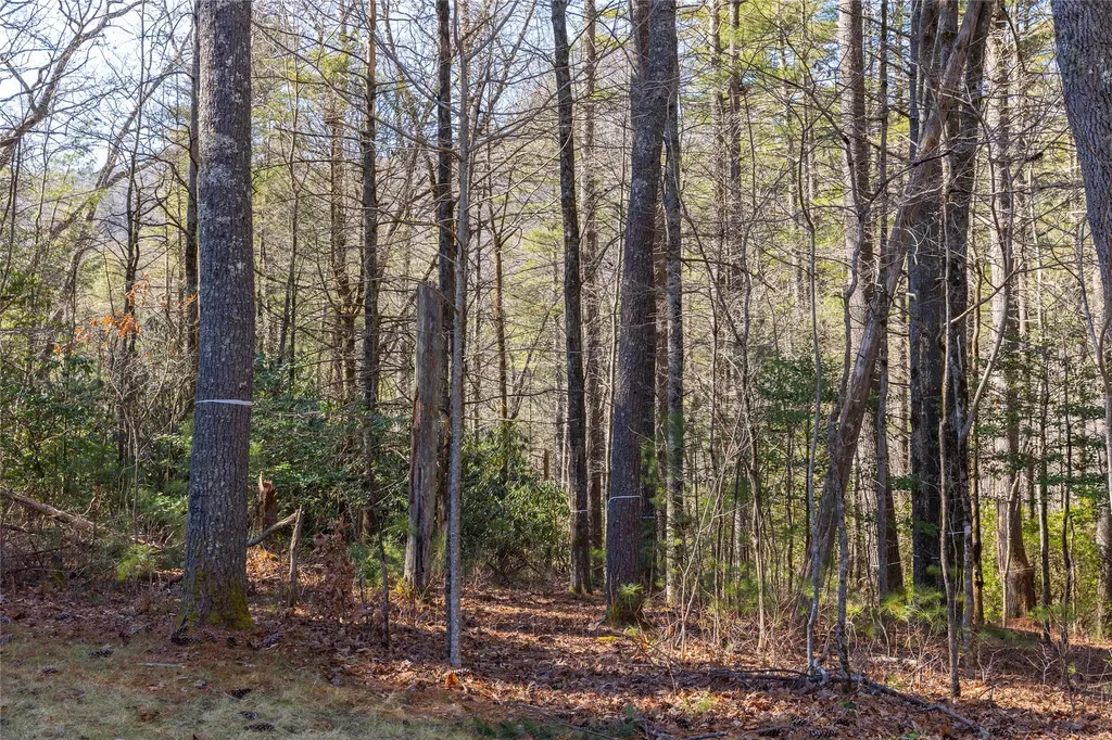 172 Lonesome Valley Road Sapphire NC 28774