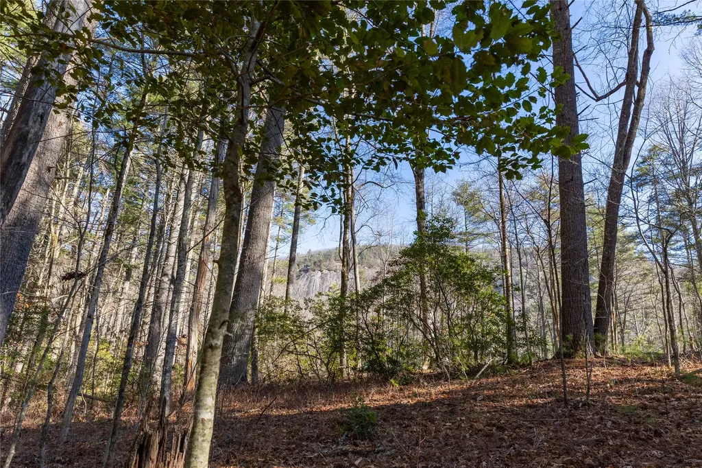 172 Lonesome Valley Road Sapphire NC 28774