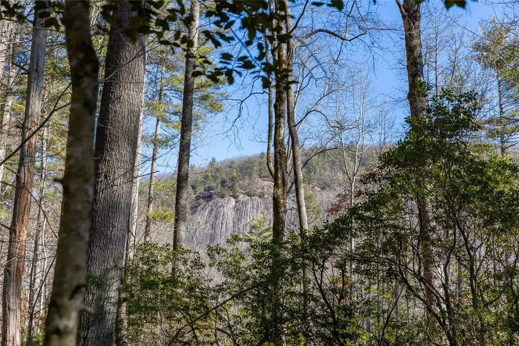 172 Lonesome Valley Road Sapphire NC 28774