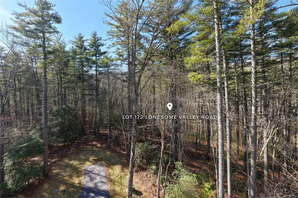 172 Lonesome Valley Road Sapphire NC 28774