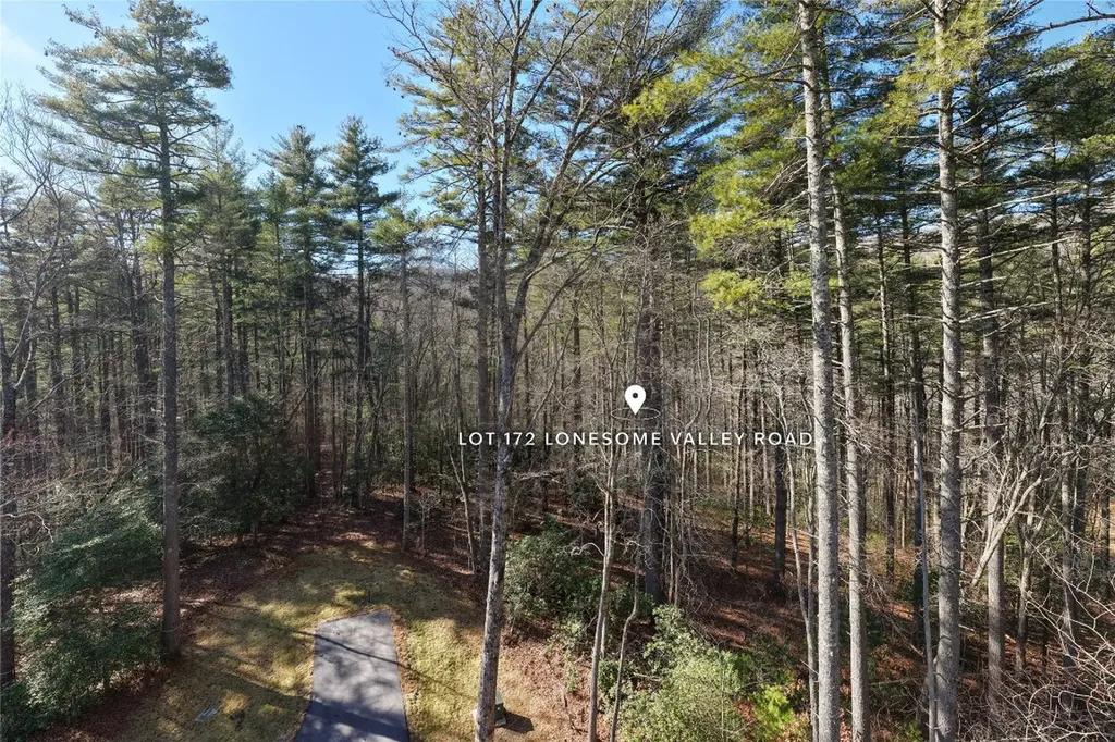 172 Lonesome Valley Road Sapphire NC 28774