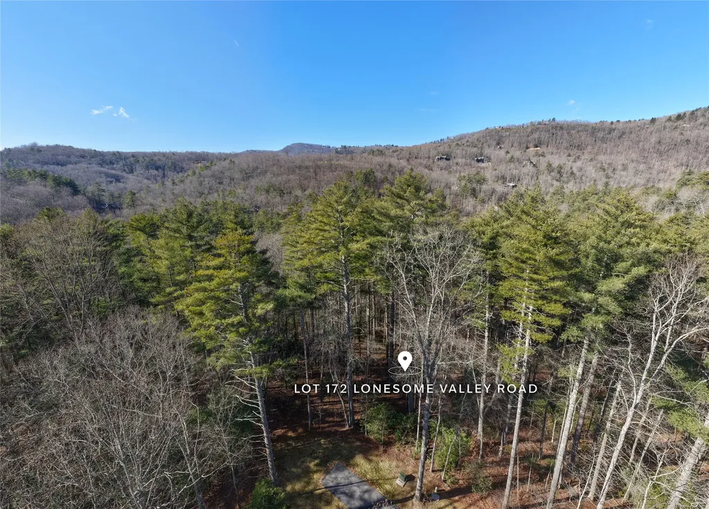 172 Lonesome Valley Road Sapphire NC 28774