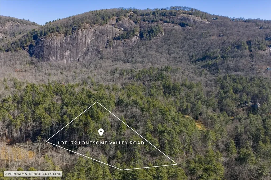 172 Lonesome Valley Road Sapphire NC 28774