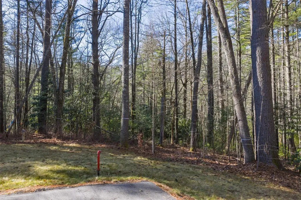 172 Lonesome Valley Road Sapphire NC 28774
