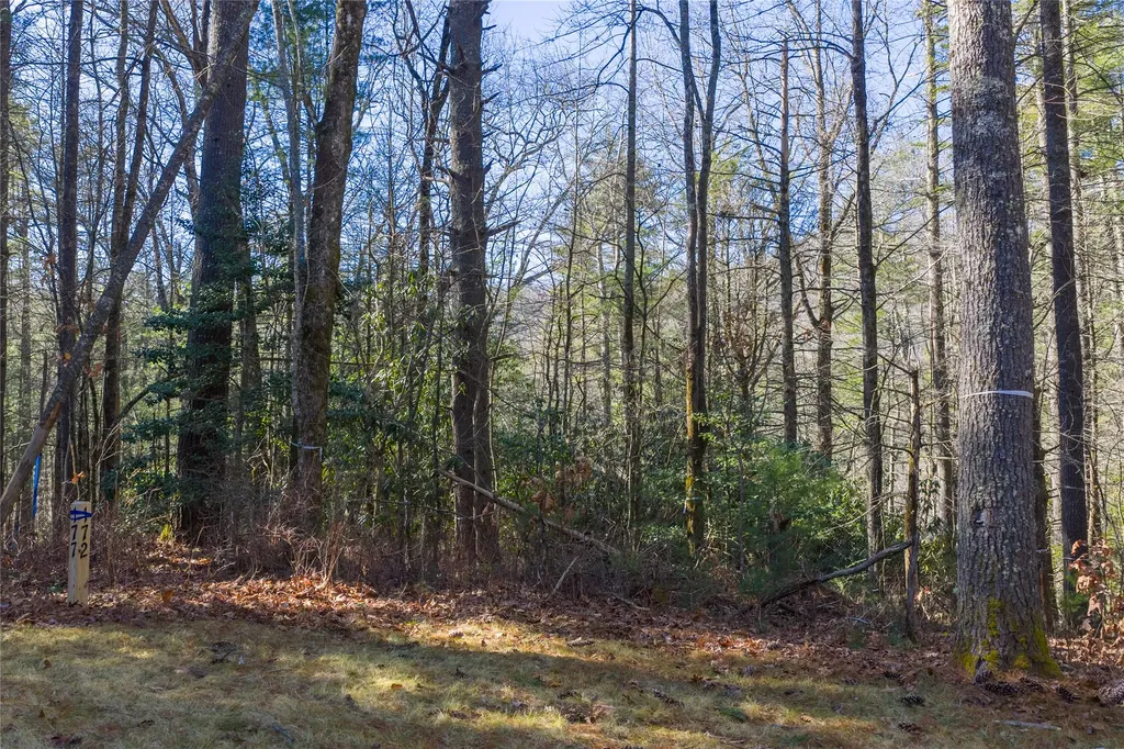 172 Lonesome Valley Road Sapphire NC 28774