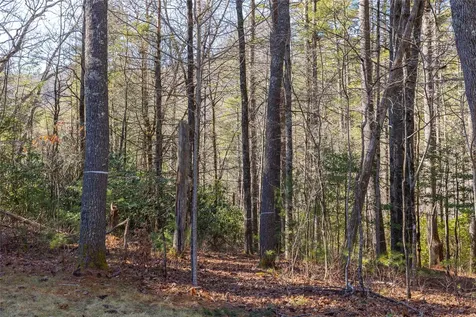 172 Lonesome Valley Road Sapphire NC 28774