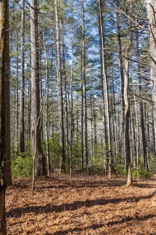 172 Lonesome Valley Road Sapphire NC 28774