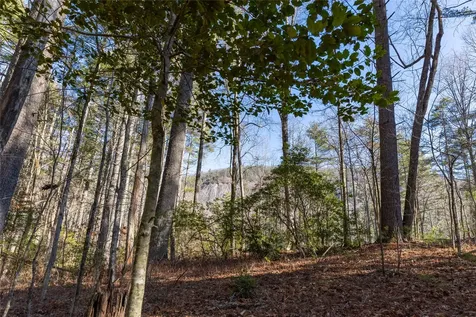 172 Lonesome Valley Road Sapphire NC 28774