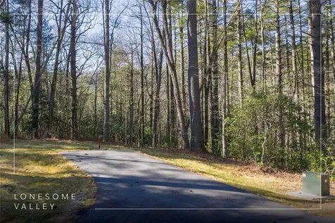 172 Lonesome Valley Road Sapphire NC 28774