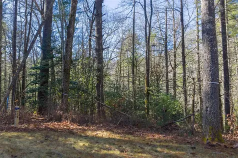 172 Lonesome Valley Road Sapphire NC 28774