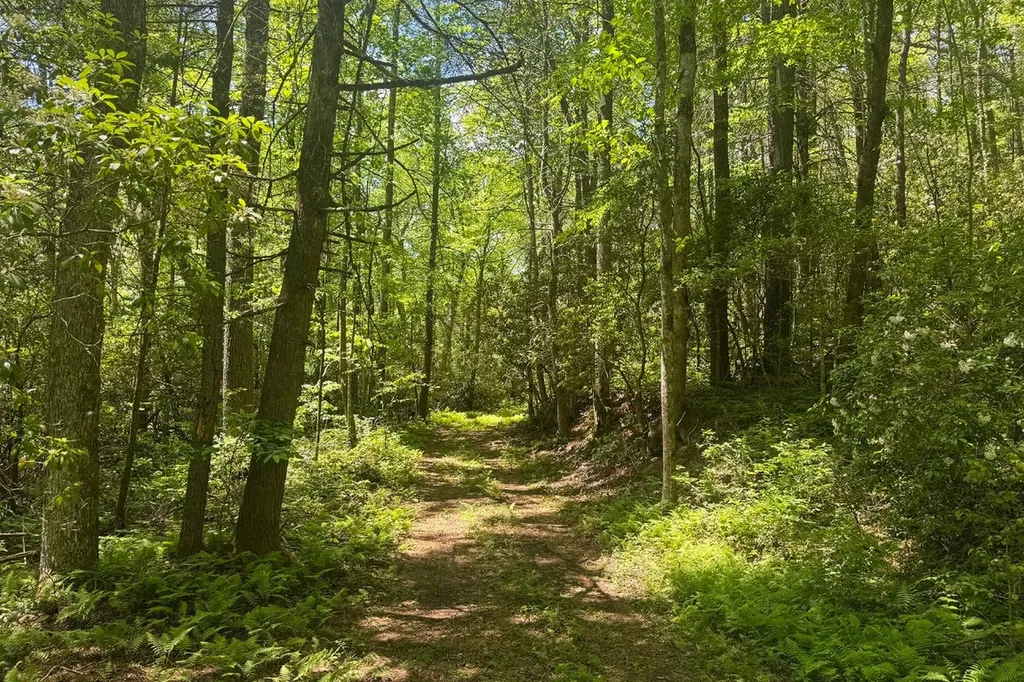 Tbd S Highway 107 Cashiers NC 28717