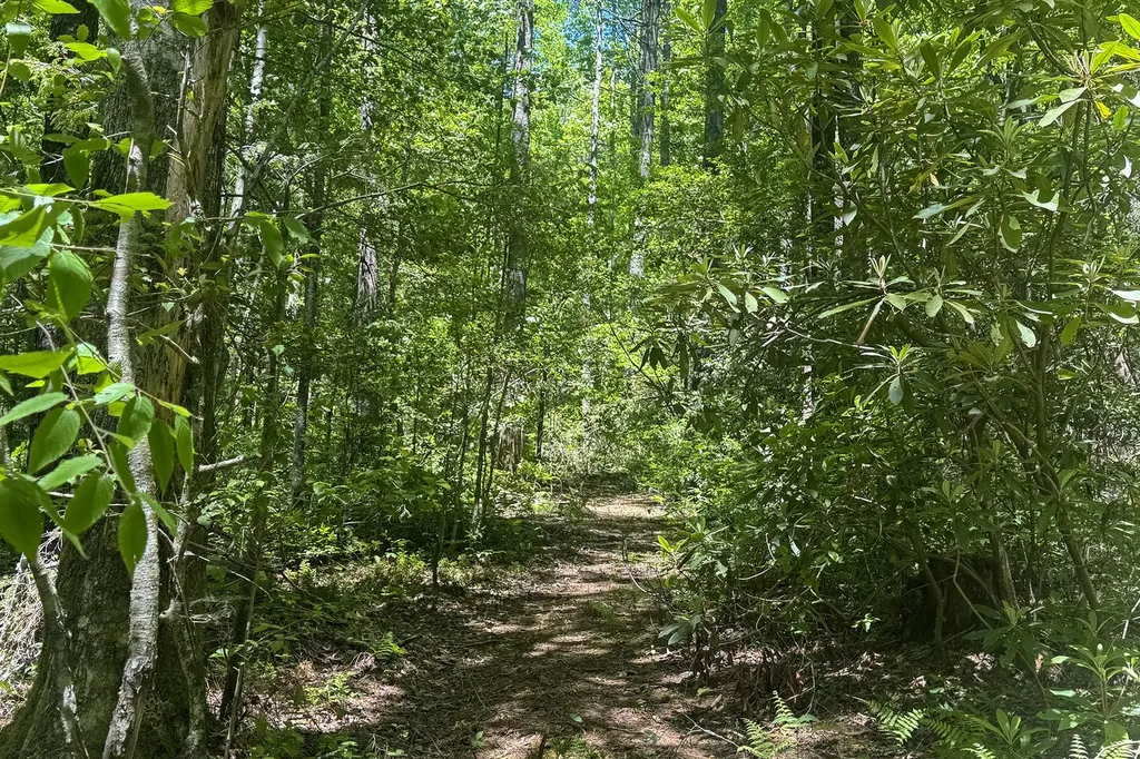 Tbd S Highway 107 Cashiers NC 28717