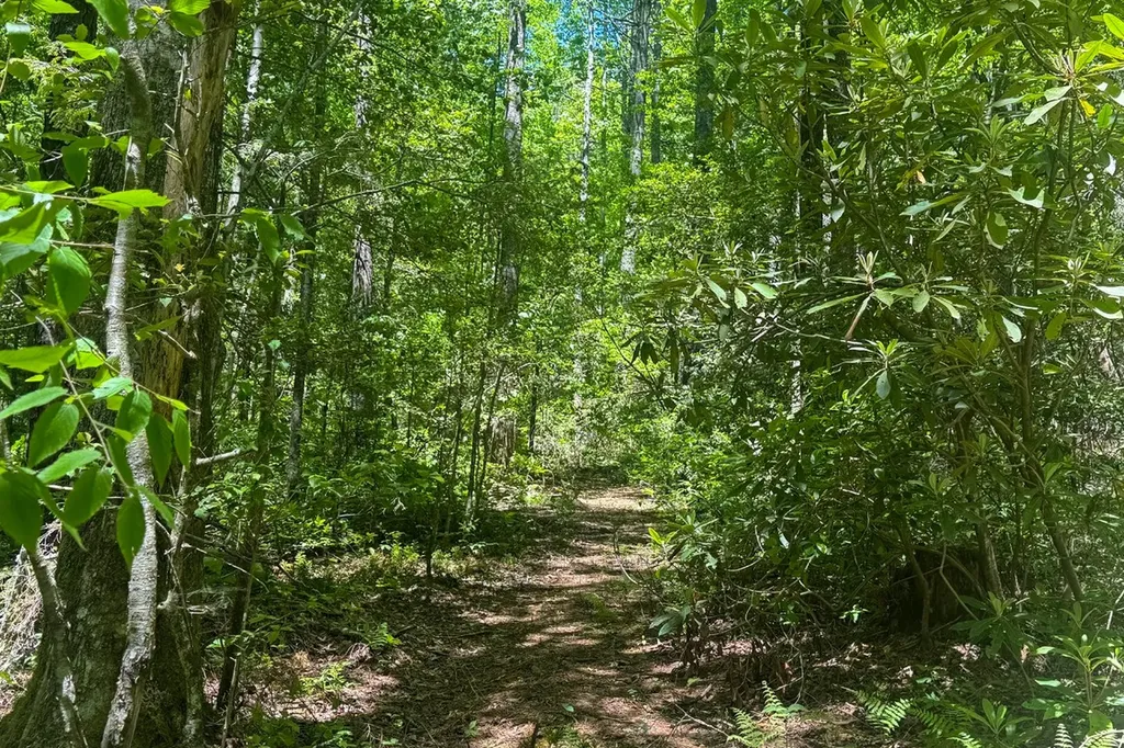 Tbd S Highway 107 Cashiers NC 28717