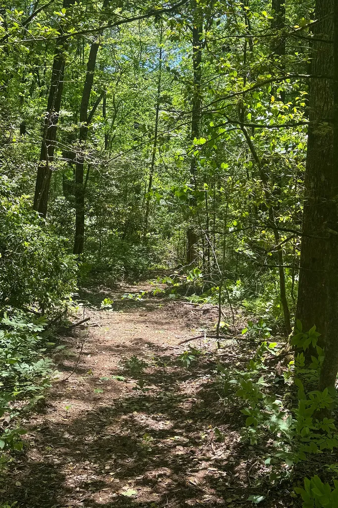 Tbd S Highway 107 Cashiers NC 28717