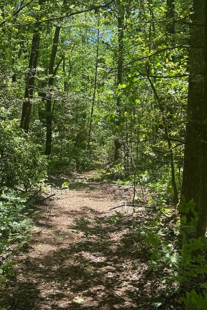 Tbd S Highway 107 Cashiers NC 28717