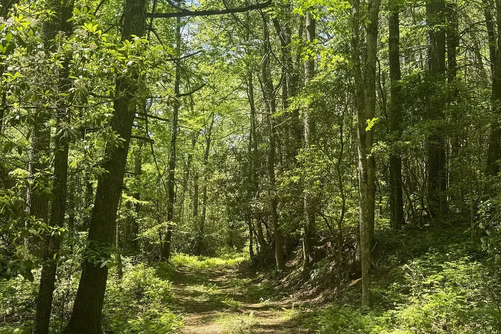 Tbd S Highway 107 Cashiers NC 28717
