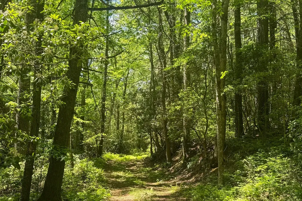 Tbd S Highway 107 Cashiers NC 28717