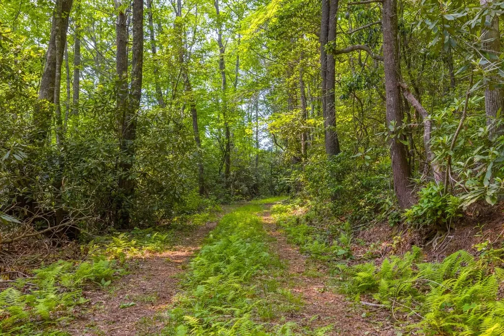 Tbd S Highway 107 Cashiers NC 28717