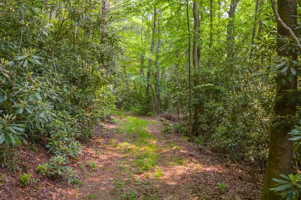 Tbd S Highway 107 Cashiers NC 28717