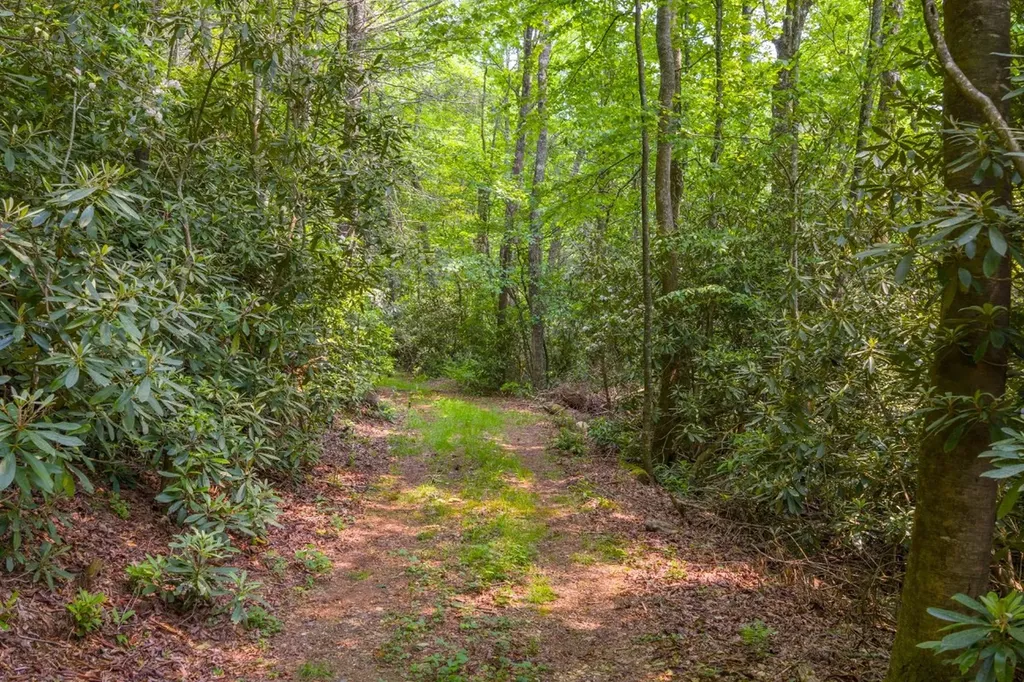 Tbd S Highway 107 Cashiers NC 28717