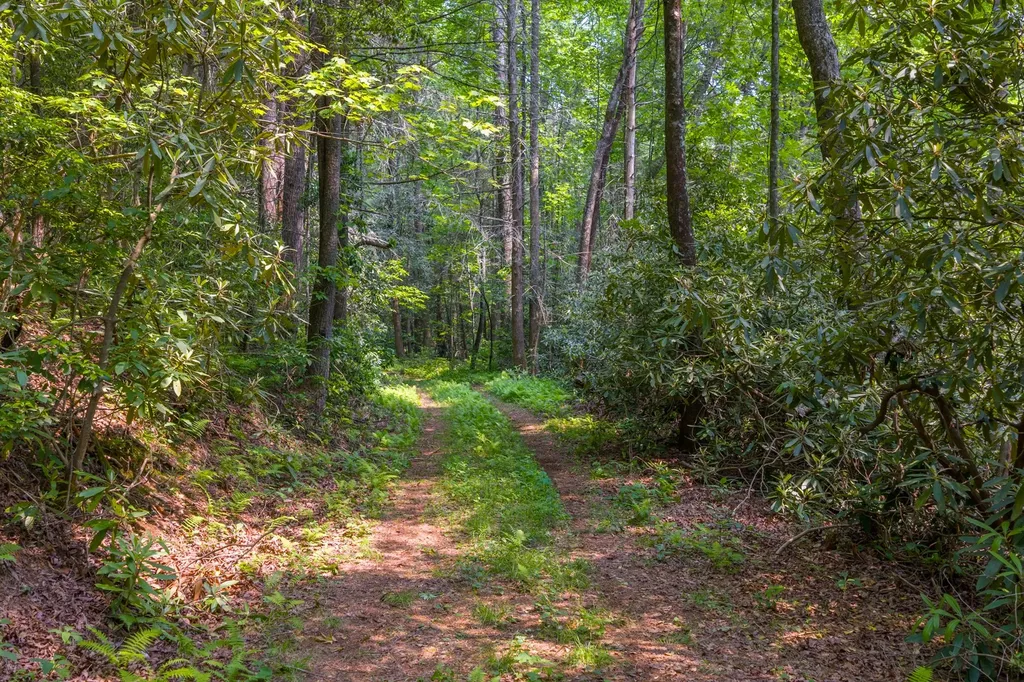 Tbd S Highway 107 Cashiers NC 28717