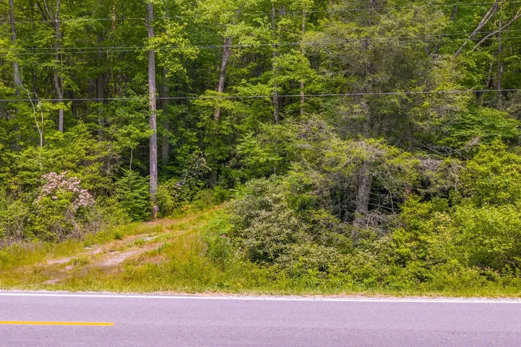 Tbd S Highway 107 Cashiers NC 28717