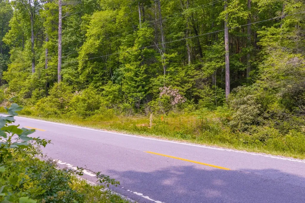 Tbd S Highway 107 Cashiers NC 28717