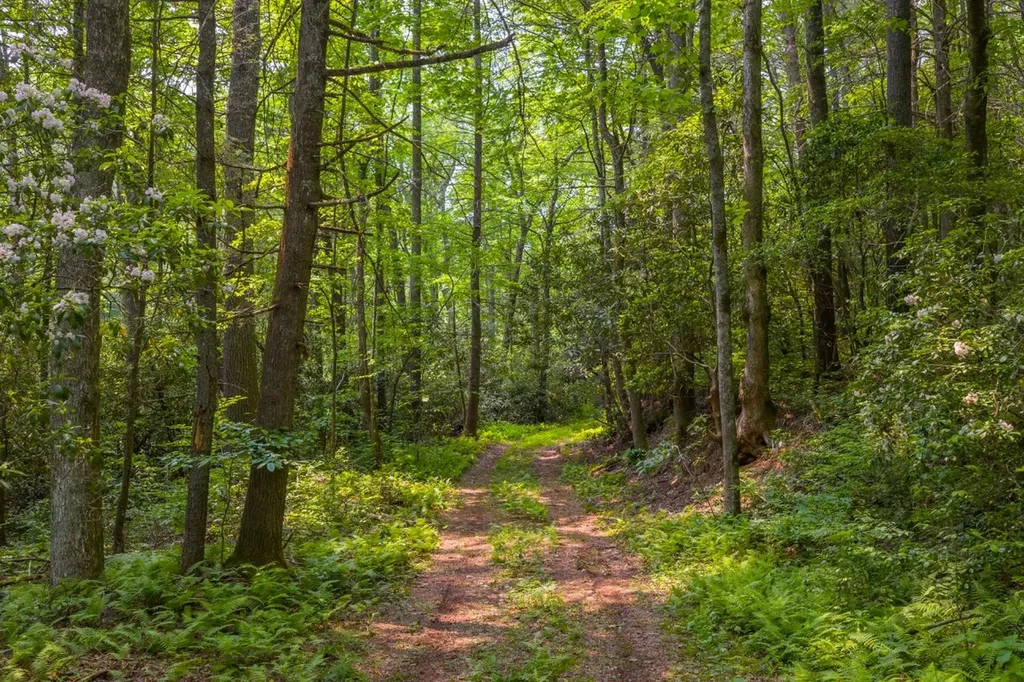 Tbd S Highway 107 Cashiers NC 28717