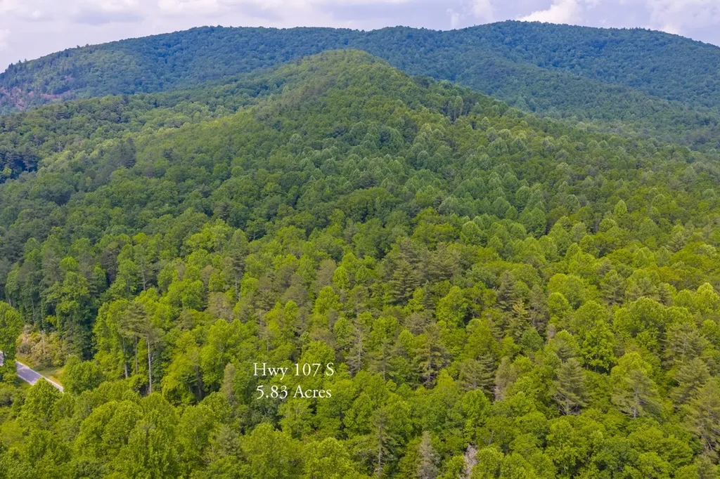 Tbd S Highway 107 Cashiers NC 28717