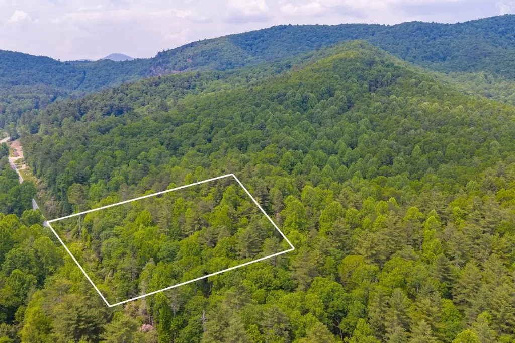 Tbd S Highway 107 Cashiers NC 28717