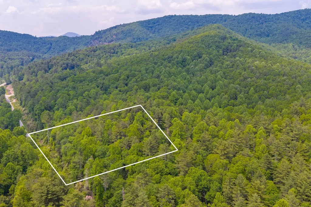 Tbd S Highway 107 Cashiers NC 28717